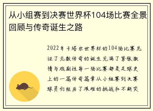 从小组赛到决赛世界杯104场比赛全景回顾与传奇诞生之路